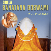 Sanatana Goswami Disappearance Day